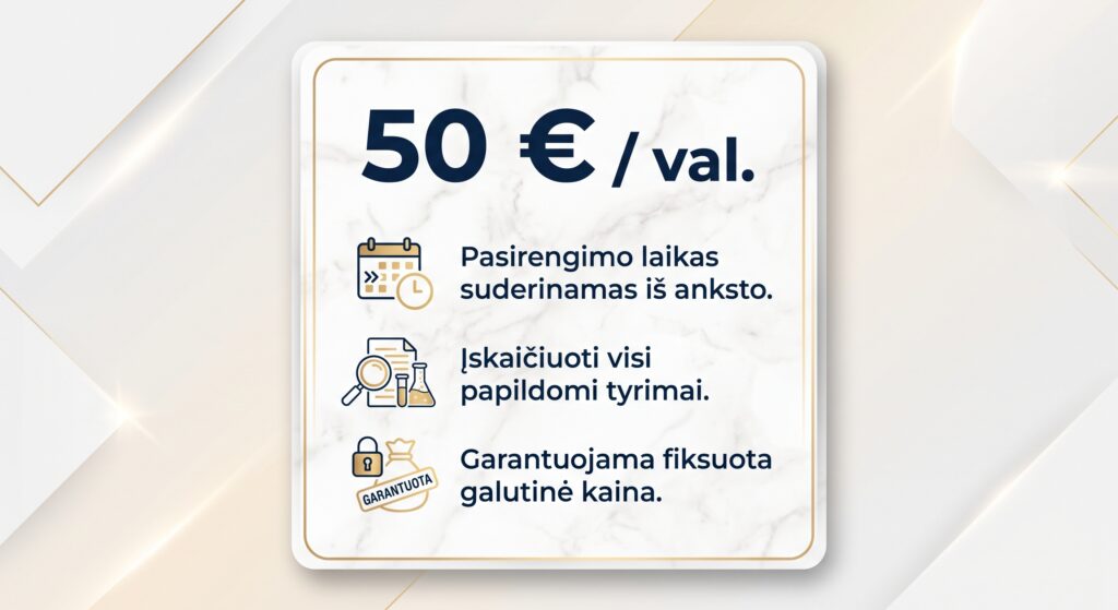 SEO konsultacijos kaina