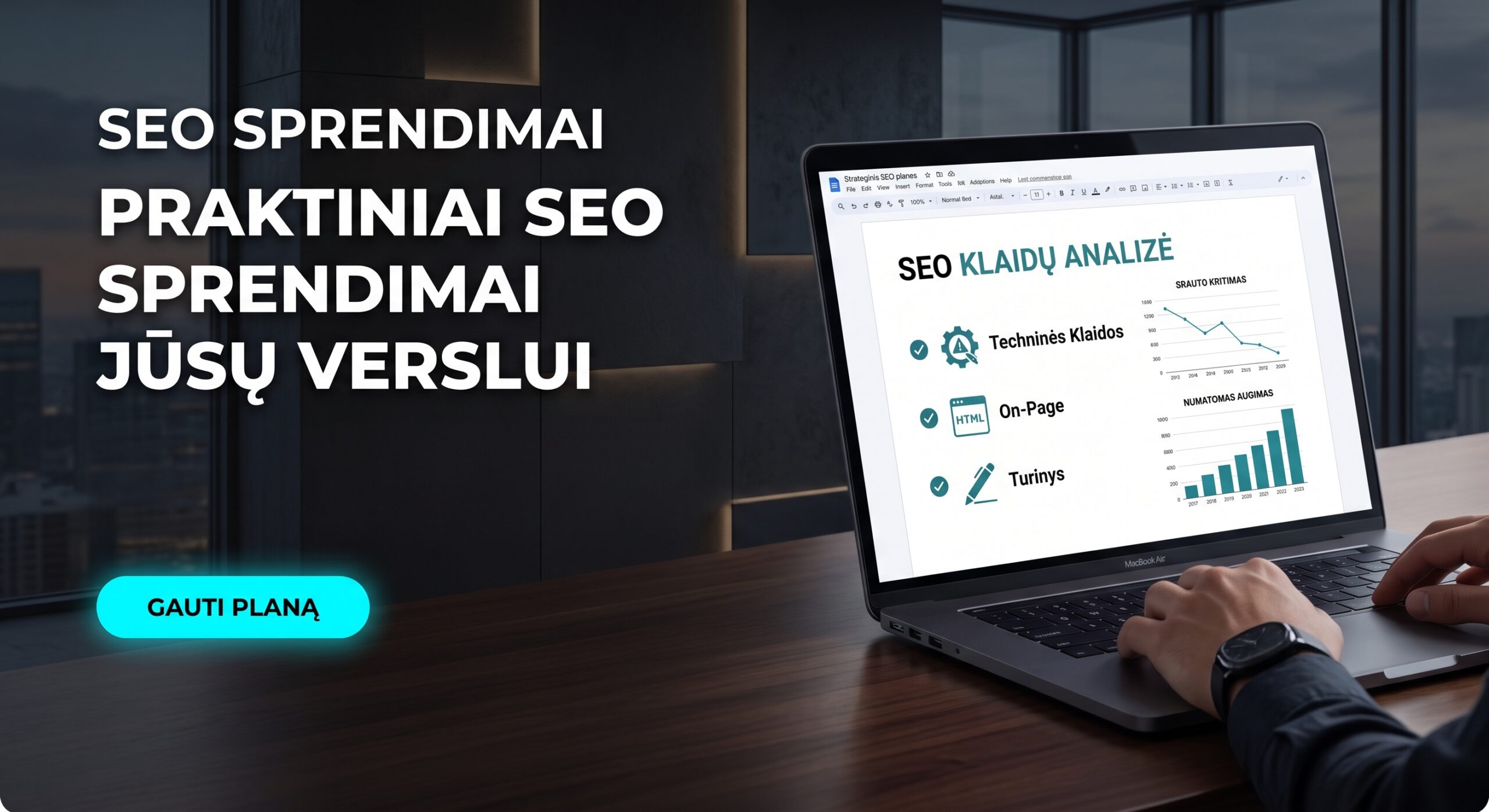 SEO konsultacijos